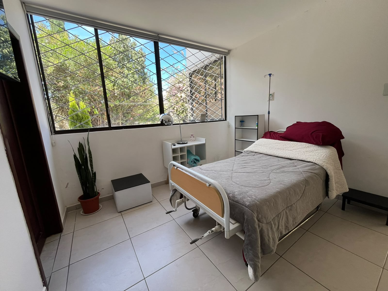 Habitación de recuperación con ventana hacia áreas verdes